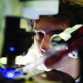 photograph of optogenetics experiment