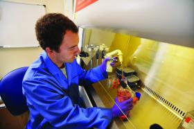 Staff member operating a fume hood