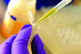 Gloved hand holding an eppendorf tube and a pipette going in the tube