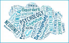Edinburgh Neuroscience word cloud