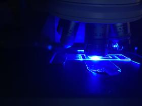 Blue light under a microscope